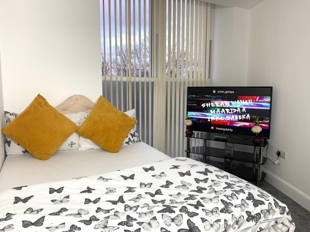 Apartment Ocean EDI